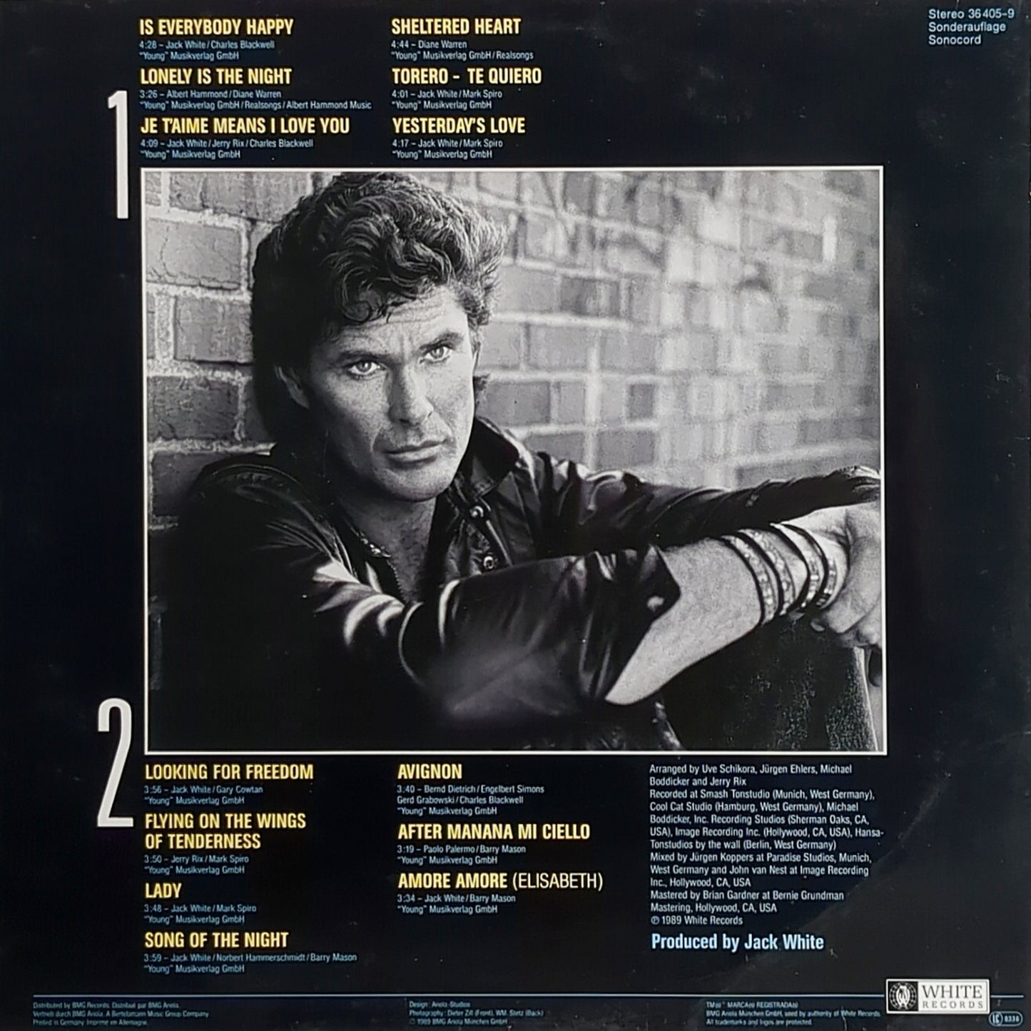 David Hasselhoff - Looking for Freedom